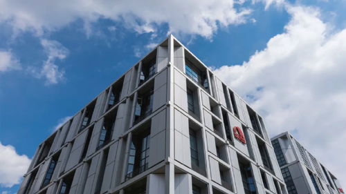 東方雨虹再度躋身2024全球建筑材料上市公司綜合實力排行榜，技術服務成核心競爭力